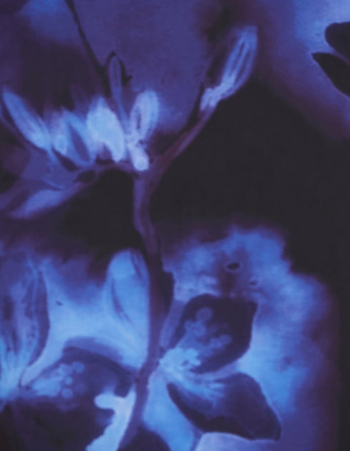 Xavier Cap Sleeve Maxi Dress